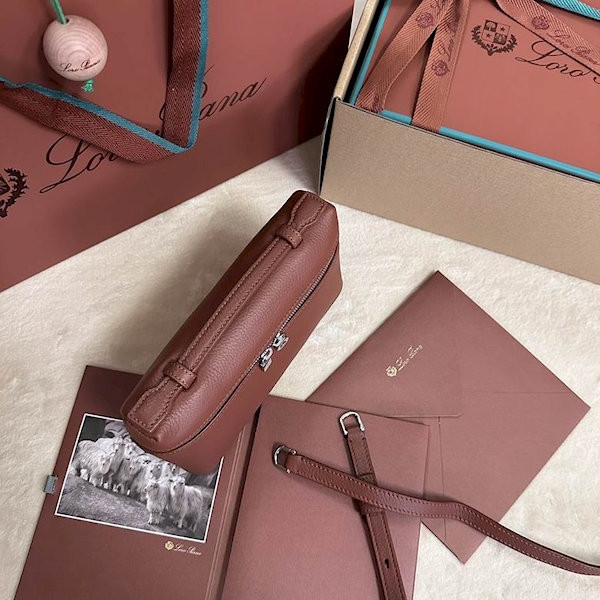 Loro Piana Women's Extra Small Pocket Bag / Reddish Brown/Rolled Silver