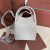 Loro Piana Women's Bale Small Bucket Bag / Dusty Stone