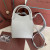Loro Piana Women's Bale Small Bucket Bag / Dusty Stone