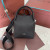 Loro Piana Women's Bale Small Bucket Bag / Charcoal Gray