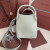 Loro Piana Women's Bale Small Bucket Bag / M/ty Baby Green