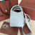 Loro Piana Women's Bale Small Bucket Bag / Light Blue
