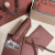 Loro Piana Women's Extra Small Pocket Bag / Reddish Brown/Rolled Silver