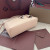 Loro Piana Women's Extra Bag / Ballet P/k