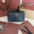 Loro Piana Women's Extra Ostrich Small Pocket Bag / Black/Rolled Gold