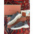 Loro Piana Men/Women's Cairn Walk Sports Shoes / Gray